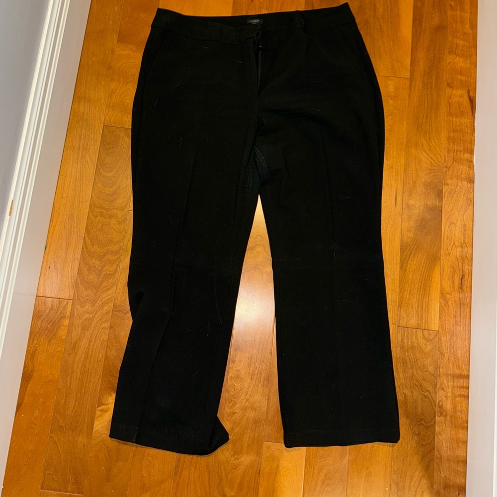 Ann Taylor Dress Pants